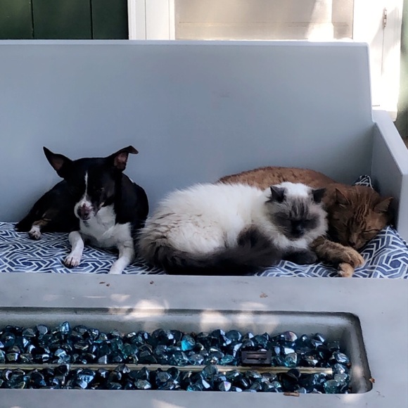 Meet your Posher, Erin - Picture 12 of 16